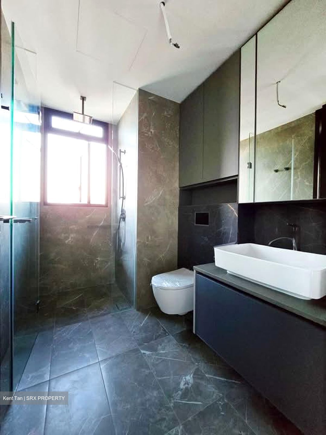 Irwell Hill Residences (D9), Apartment #581910751